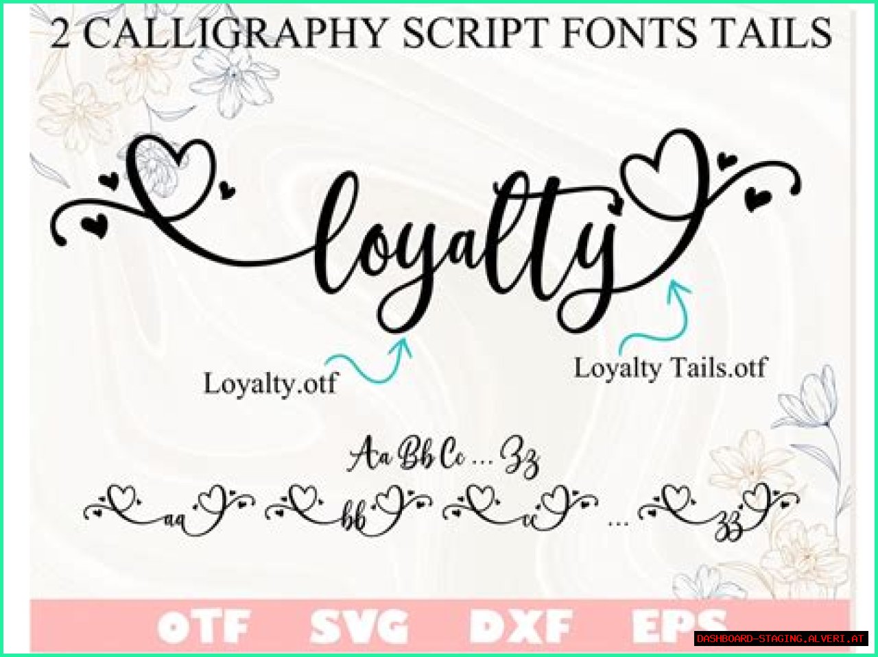 A Journey Of Love, Loyalty, And Inspiration