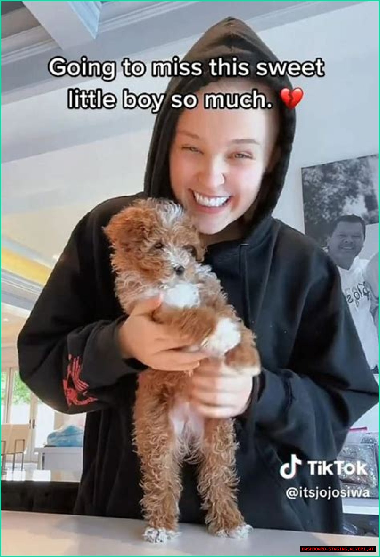 What We Discovered About 'Has JoJo Siwa Died'